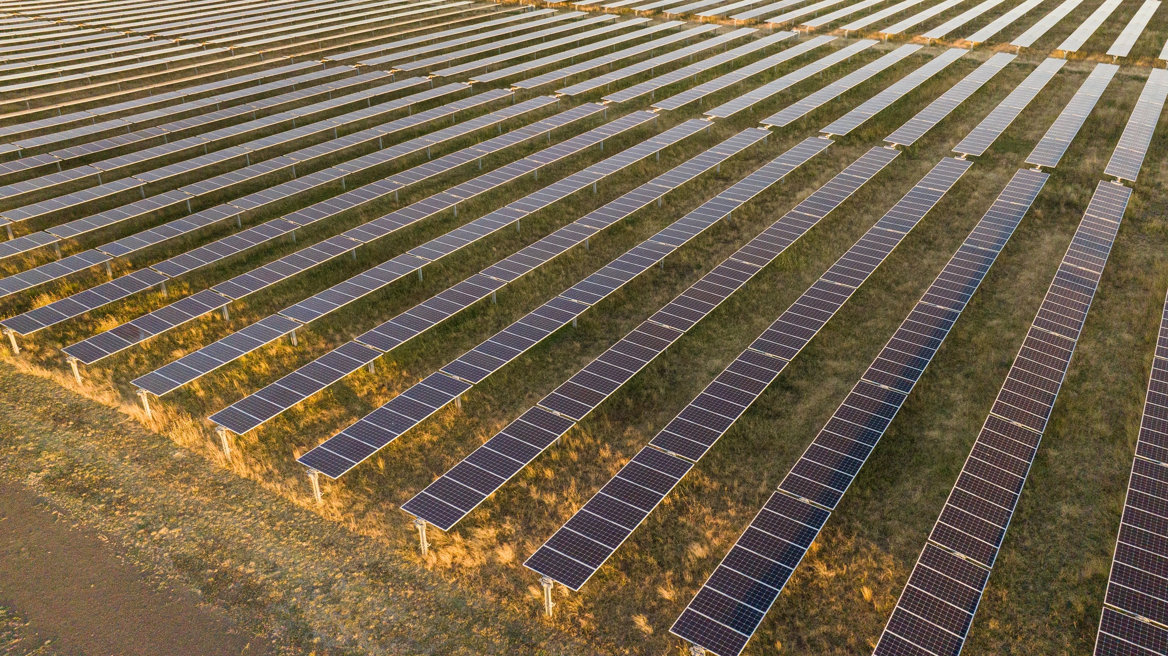 A team you can count on